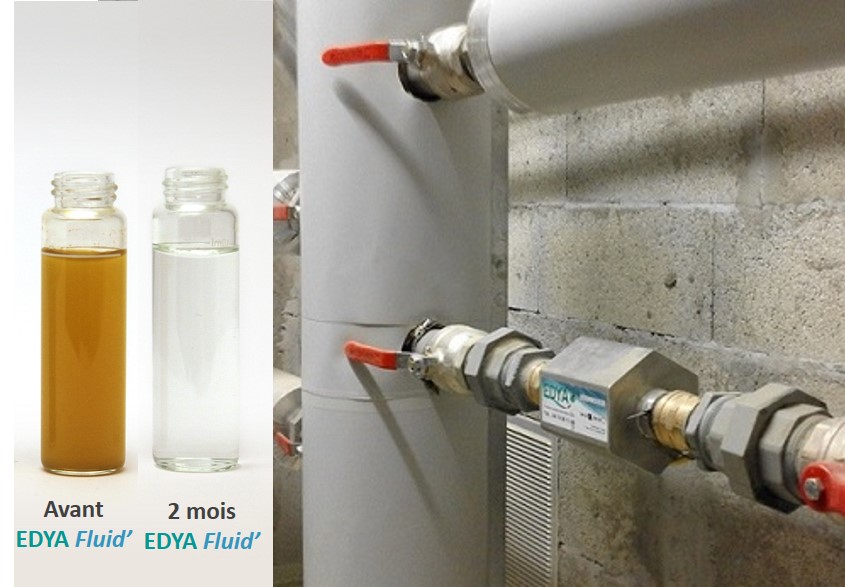 EDYA Fluid' collectif et résultats