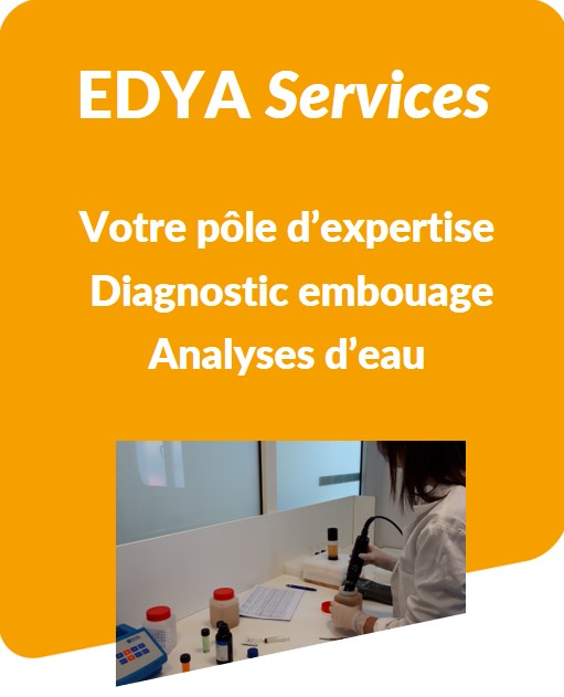 EDYA Services professionnels